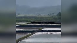 "Army Not Involved": Defence Ministry Flags Misinformation In Manipur Reports Over Churachandpur Shutdown