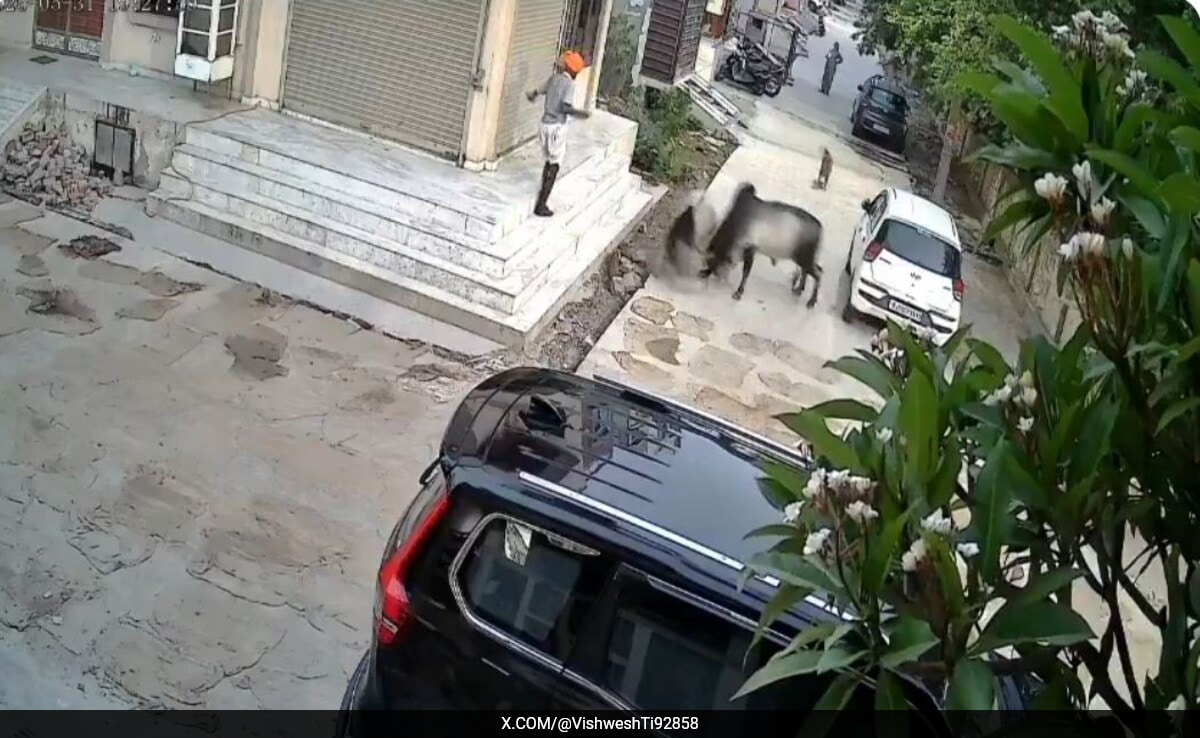 Бързо четене Резюме е генериран от AI прегледано Newsroom Вирусно