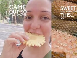 Watch: Actress Nauheed Cyrusi Shares A Useful Hack To Check The Sweetness Of Pineapples