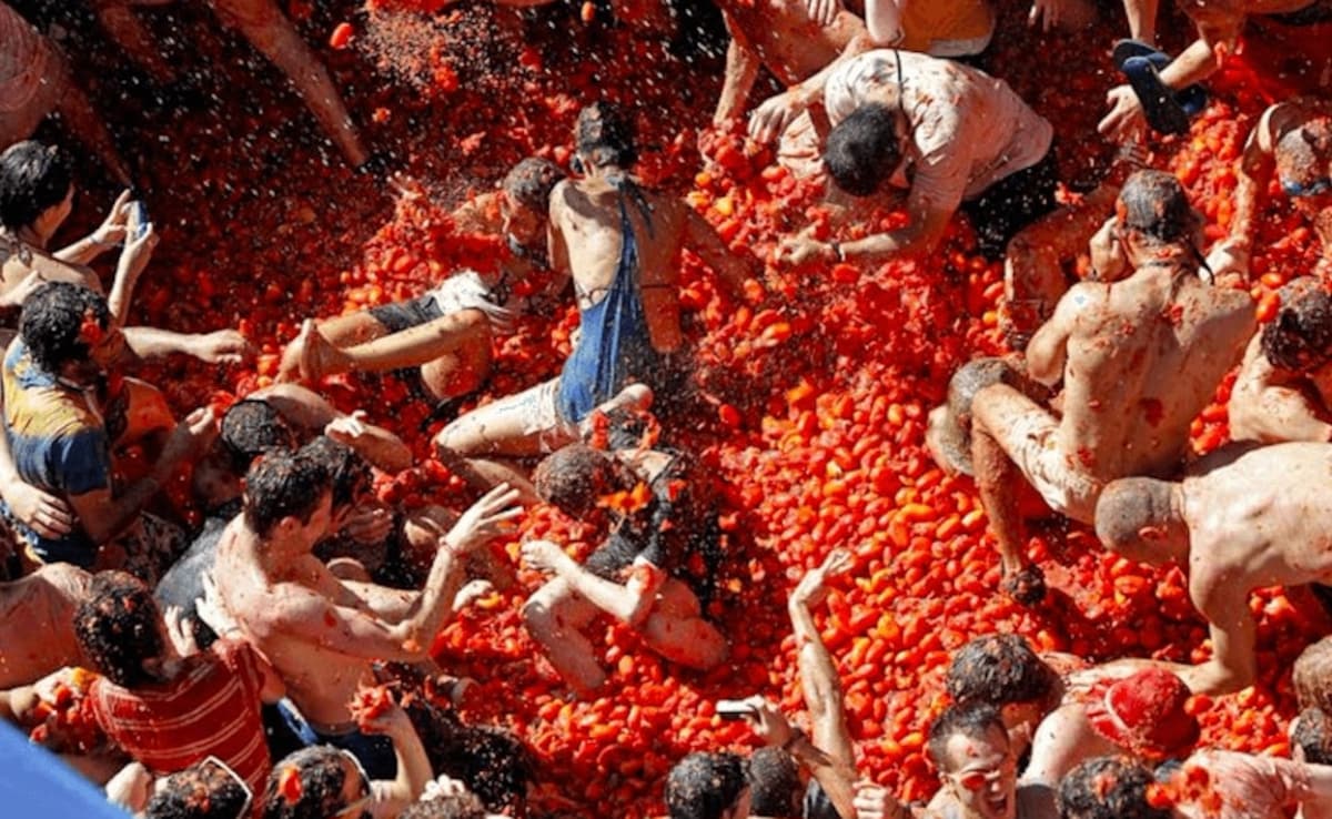Photo: Courtesy of La Tomatina Photo: Courtesy of La Tomatina