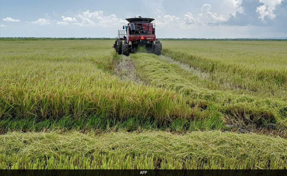 Виетнам се очаква да подпише сделки със Съединените щати за