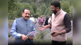Drone Surveillance To Lavender Farming: Minister On J&K's Purple Revolution