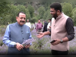 Drone Surveillance To Lavender Farming: Minister On J&K's Purple Revolution Drone Surveillance To Lavender Farming: Minister On J&K's Purple Revolution