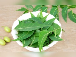 सुबह बासी मुंह नीम की पत्तियों का सेवन किस बीमारी मे हैं फायदेमंद