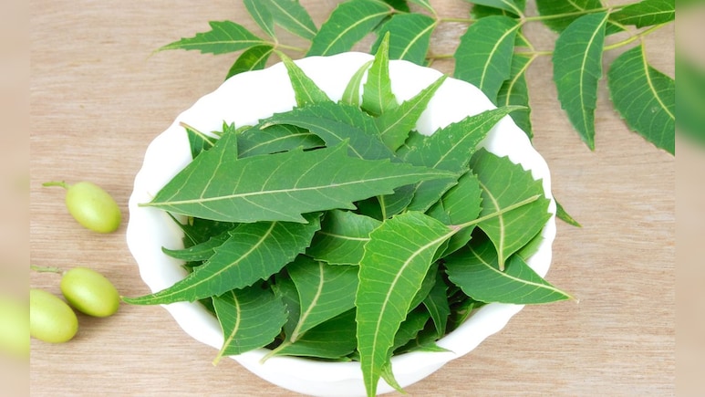 सुबह बासी मुंह नीम की पत्तियों का सेवन किस बीमारी मे हैं फायदेमंद