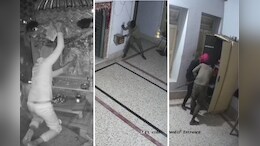 झुंझुनूं के ऐतिहासिक मंदिर में चोरी, ताला तोड़कर कई जगहों से चुराए नकदी और कीमती धातु, CCTV में कैद वारदात&nbsp;