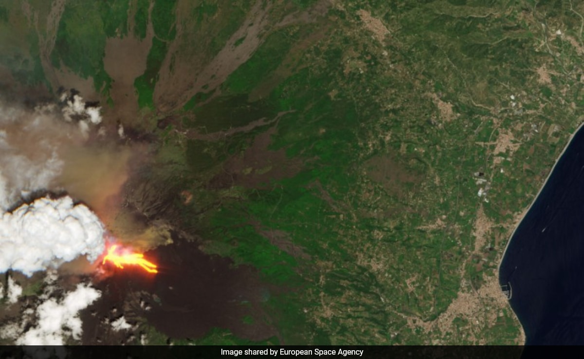 бързо четене Резюме е генериран от AI прегледано Newsroom Mount