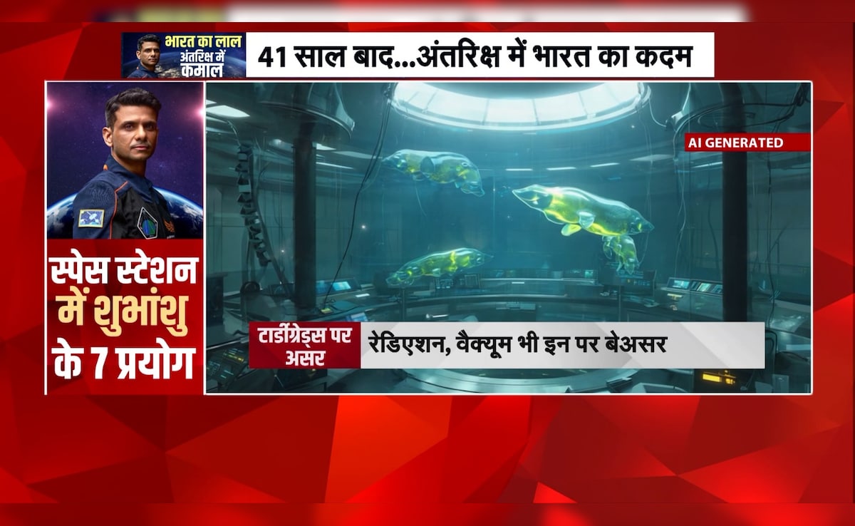 Latest and Breaking News on NDTV Latest and Breaking News on NDTV