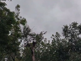 Rajasthan Weather Alert: राजस्थान में मानसून की जोरदार दस्तक, 20 जिलों में 72 घंटों के लिए बारिश और बिजली गिरने का येलो अलर्ट जारी Rajasthan Weather Alert: राजस्थान में मानसून की जोरदार दस्तक, 20 जिलों में 72 घंटों के लिए बारिश और बिजली गिरने का येलो अलर्ट जारी