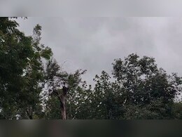 MP में मॉनसून एक्टिव, सीएम यादव ने अधिकारियों को दिए ये निर्देश