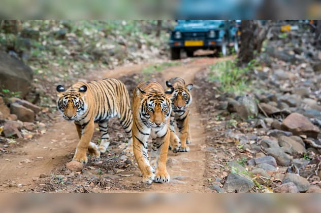 Latest and Breaking News on NDTV Latest and Breaking News on NDTV