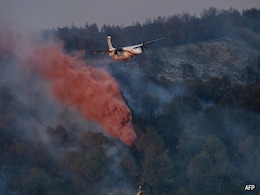 Fires Break Out And Most Of France Put On Heatwave Alert Fires Break Out And Most Of France Put On Heatwave Alert