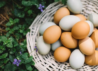 Chilli Garlic Eggs Recipe: A Breakfast That Is High-Protein, Spicy And We