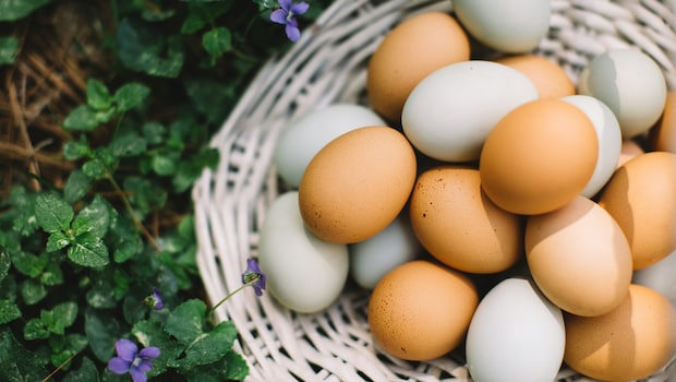 Chilli Garlic Eggs Recipe: A Breakfast That Is High-Protein, Spicy And Weight-Loss Friendly