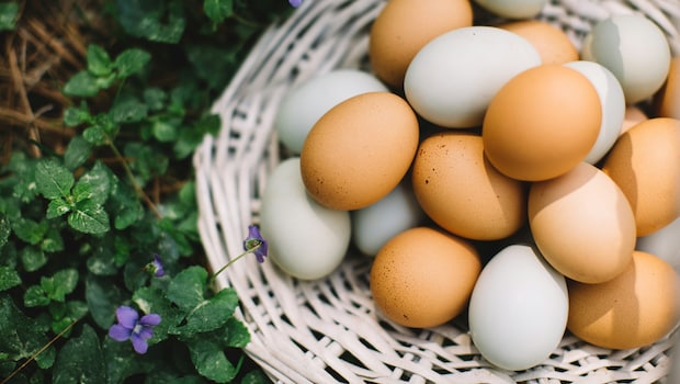 Add image caption here Add image caption here