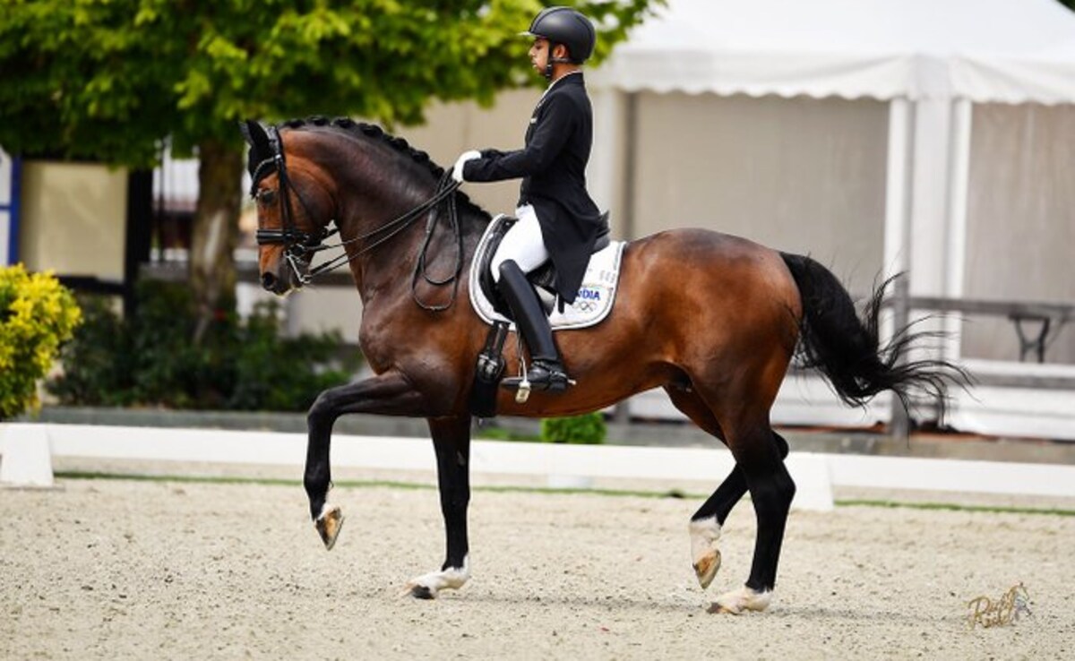 Equestrian Anush Agarwalla Announces Retirement Of Olympic Partner Sir Caramello