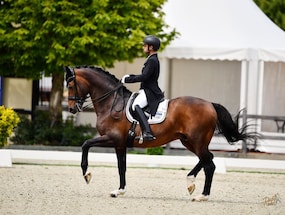 Equestrian Anush Agarwalla Announces Retirement Of Olympic Partner Sir Caramello