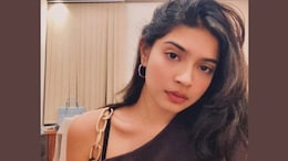Who Is Sharmishta Panoli, What Did She Say That Landed Her In Jail