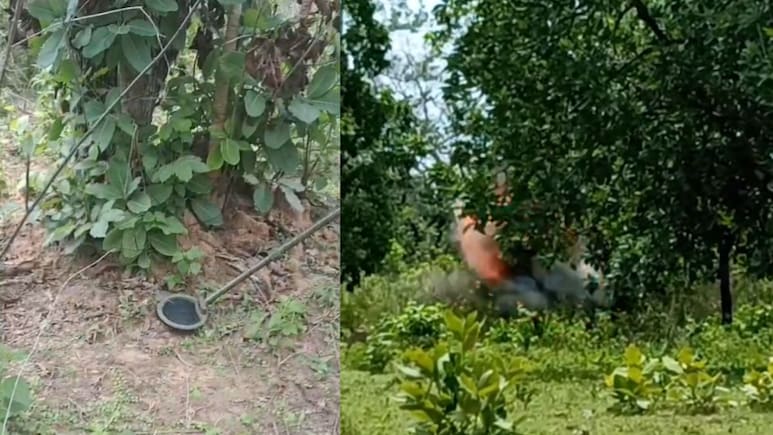 Bijapur News: आईईडी विस्फोट में कोबरा बटालियन का जवान घायल, ड्यूटी के दौरान चपेट में आया, सर्च ऑपरेशन शुरू