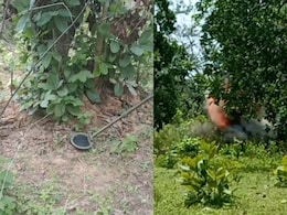 Bijapur News: आईईडी विस्फोट में कोबरा बटालियन का जवान घायल, ड्यूटी के दौरान चपेट में आया, सर्च ऑपरेशन शुरू Bijapur News: आईईडी विस्फोट में कोबरा बटालियन का जवान घायल, ड्यूटी के दौरान चपेट में आया, सर्च ऑपरेशन शुरू