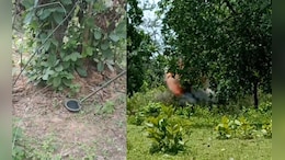 पेड़ के नीचे IED&hellip; फोर्स को नुकसान पहुंचाने के लिए नक्सलियों ने बनाया था खतरनाक प्लान!