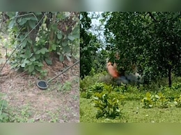 पेड़ के नीचे IED… फोर्स को नुकसान पहुंचाने के लिए नक्सलियों ने बनाया था खतरनाक प्लान! पेड़ के नीचे IED… फोर्स को नुकसान पहुंचाने के लिए नक्सलियों ने बनाया था खतरनाक प्लान!