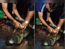 कोटा में मॉनसून के साथ मगरमच्छों की दस्तक, रिहायशी इलाकों में नजर आने लगे मगरमच्छ