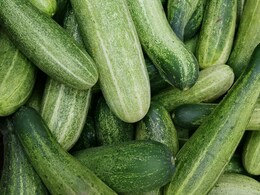 खीरे के साथ ये चीजें भूलकर भी मत खाना, वर्ना फायदे की जगह उल्टा होगा नुकसान