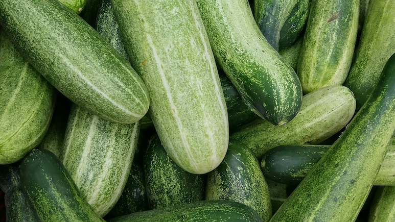 खीरे के साथ ये चीजें भूलकर भी मत खाना, वर्ना फायदे की जगह उल्टा होगा नुकसान