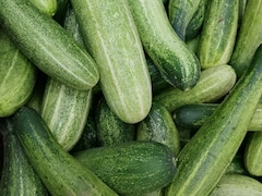 खीरे के साथ ये चीजें भूलकर भी मत खाना, वर्ना फायदे की जगह उल्टा होगा नुकसान