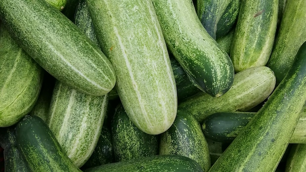 5 foods avoid to eat with cucumber 5 foods avoid to eat with cucumber