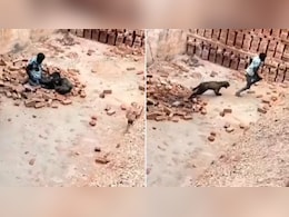 ईंट भट्ठे पर काम कर रहे मजदूर पर तेंदुए ने किया हमला, अकेले लड़ गया शख्स, देख लोग बोले- ये मजदूर का हाथ है ईंट भट्ठे पर काम कर रहे मजदूर पर तेंदुए ने किया हमला, अकेले लड़ गया शख्स, देख लोग बोले- ये मजदूर का हाथ है