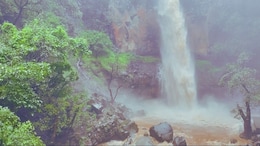 Kolhapur Monsoon Tourist Places : घनदाट अभयारण्य, हुडहुडी भरवणारी बोचरी थंडी; कोल्हापुरातील या प्रसिद्ध पर्यटनस्थळी मोठी गर्दी