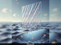 Japanese Scientists Develop Plastic That Vanishes In Seawater Japanese Scientists Develop Plastic That Vanishes In Seawater