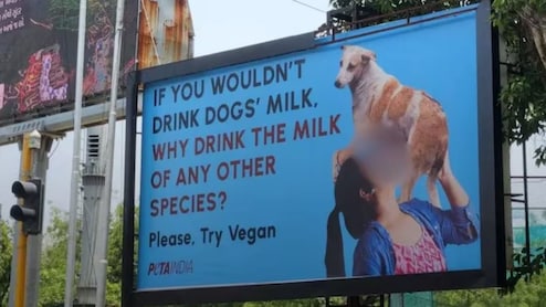 कुत्ते का दूध पीओगे? PETA के अजीबोगरीब कैंपेन ने इंटरनेट पर मचाया बवाल, लोग बोले- अब तो हद ही हो गई