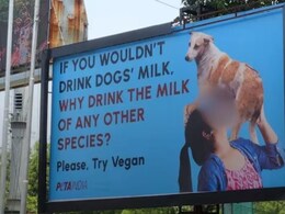 कुत्ते का दूध पीओगे? PETA के अजीबोगरीब कैंपेन ने इंटरनेट पर मचाया बवाल, लोग बोले- अब तो हद ही हो गई कुत्ते का दूध पीओगे? PETA के अजीबोगरीब कैंपेन ने इंटरनेट पर मचाया बवाल, लोग बोले- अब तो हद ही हो गई