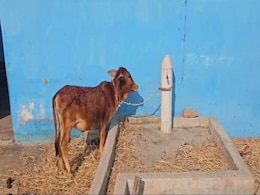 Jal Jeevan Mission: ओड़गी में ऐसे पहुंच रहा हर घर नल से जल! रियलिटी चेक में सामने आया सफेद झूठ Jal Jeevan Mission: ओड़गी में ऐसे पहुंच रहा हर घर नल से जल! रियलिटी चेक में सामने आया सफेद झूठ