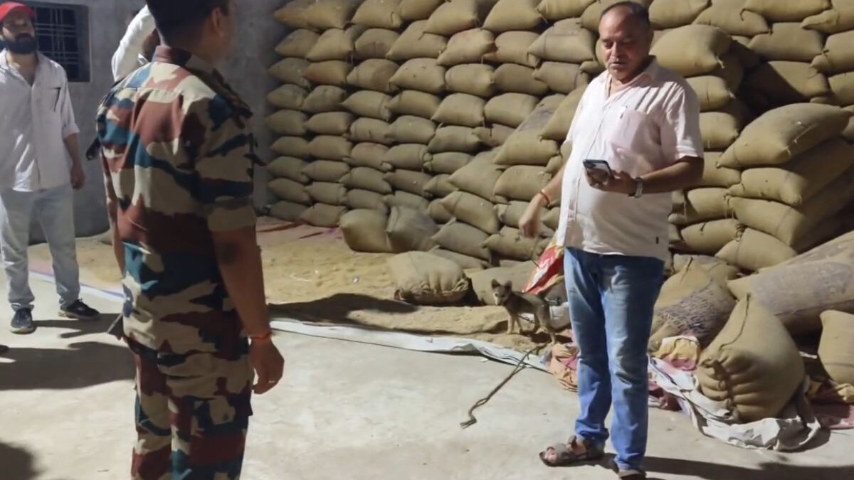 MP: दतिया में कालाबाजारी का भांडा फूटा! इस गोदाम से मिला सरकारी राशन ...