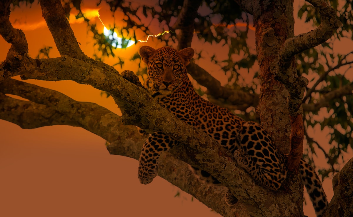 Photo: iStock Photo: iStock