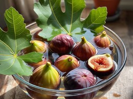 What Happens When You Eat Soaked Anjeer Every Day? Nutrition, Uses, And Risks What Happens When You Eat Soaked Anjeer Every Day? Nutrition, Uses, And Risks