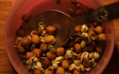 Why Nutritionists Swear By Soaked Kala Chana For Everyday Health