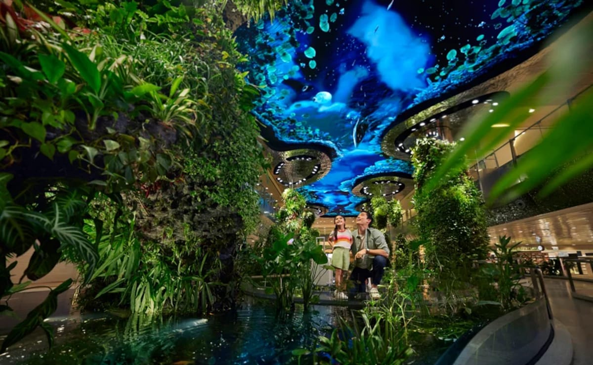 Photo: Courtesy of Singapore Changi Airport Photo: Courtesy of Singapore Changi Airport