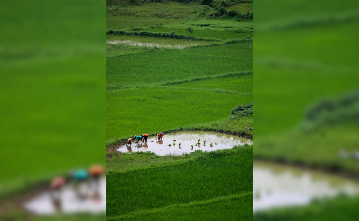 Latest and Breaking News on NDTV Latest and Breaking News on NDTV