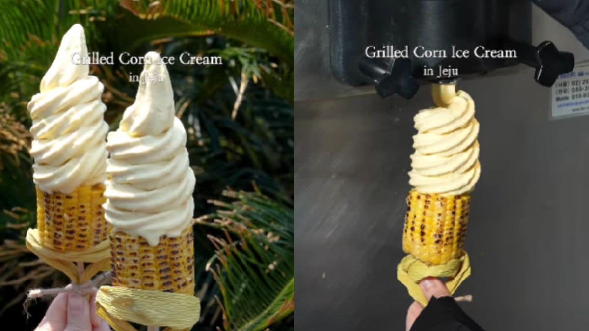 Watch: This Grilled Corn Ice Cream From South Korea's Jeju Island Has The Internet Drooling Watch: This Grilled Corn Ice Cream From South Korea's Jeju Island Has The Internet Drooling