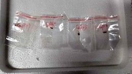 Chinese Woman, Boyfriend Arrested For Smuggling Biological Pathogen Into US