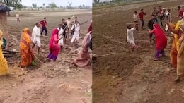 Dalit Family Cultivating Field Beaten Up In Madhya Pradesh, Seeds Snatched