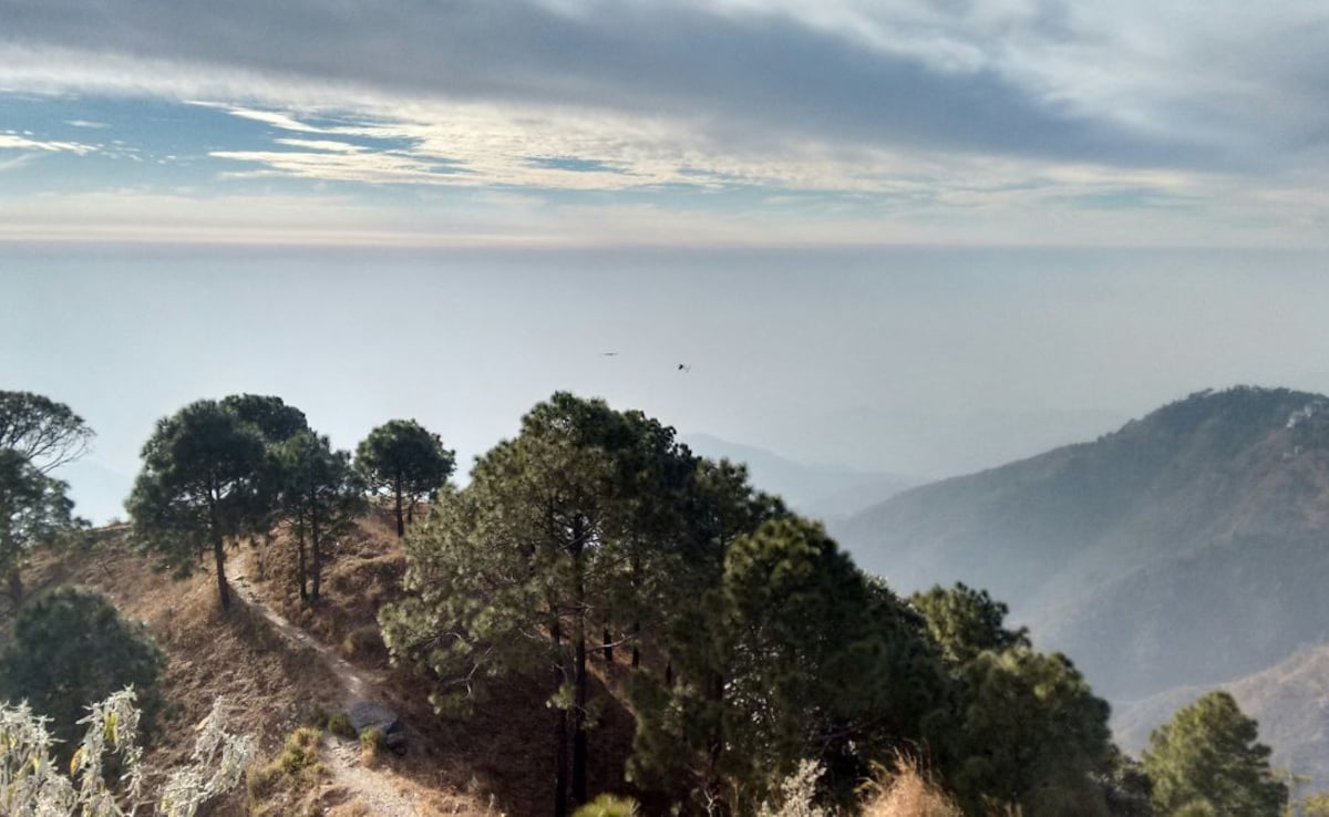 Latest and Breaking News on NDTV