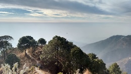 Heading To Kasauli? 6 Amazing Things To Do And See In This Scenic Hill Town