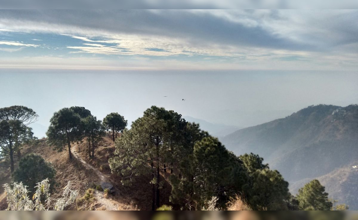 Latest and Breaking News on NDTV