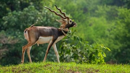 6 Hidden Gems In Madhya Pradesh For A Perfect Weekend Getaway